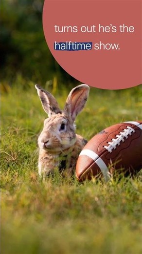 The only thing stealing your attention this big game 🐰