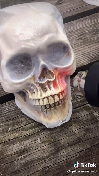 lifewithalese on TikTok