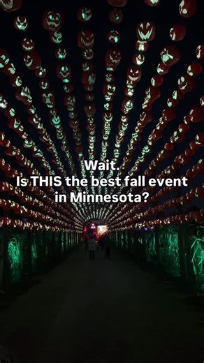 Check out @greatpumpkintrail for the newest and longest Jack O Lantern light trail in Minnesota! 📍28186 Kettle River Blvd, Wyoming Open Oct 3-Nov 2 Tickets $12-$26 Imagine a whimsical journey through a mesmerizing trail, illuminated by over 10,000 intricately carved jack-o’-lanterns. From spooky faces to whimsical creatures, each pumpkin tells its own unique story, casting a magical glow that captivates visitors of all ages! Thank you so much to The Great Pumpkin Trail for having us! | MNBucket
