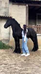 100K views · 1.2K reactions | warm welcome and hug by my loving boy. #fyp | Jessicatricoli | Facebook