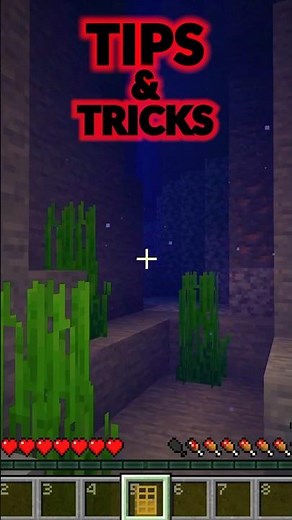 #minecraft tips and tricks breathing underwater with doors 🚪🌊 #gamesforkidshub