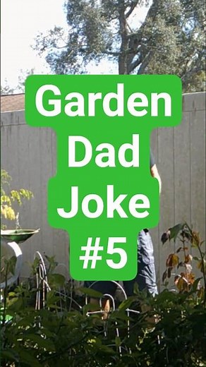 Gardening Dad Joke #5 | Suburban Life Permaculture