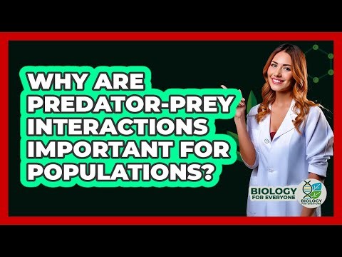 Why Are Predator-Prey Interactions Important For Populations?