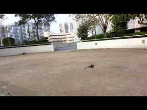 HK250GT with KDS Flymentor 3D and DFC! 1st Test Flight 2014-04-09