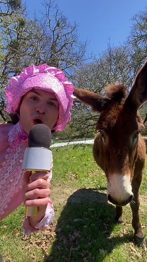 Miss Donkey #donkey #farm #animals #comedy #gay