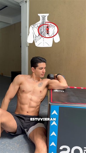 Renecillo_fit