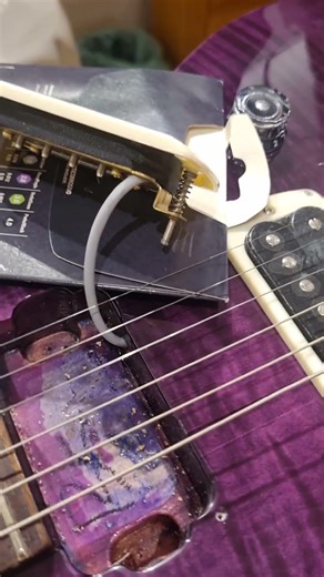 GUITARRA PRS SE CUSTOM 24 AMETHYST