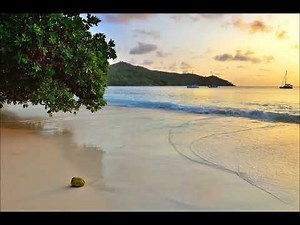 エンドレス・サマー HOUND DOG