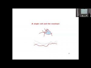 Prof. Micha Sharir - Computational Geometry: Per Aspera Ad Astra