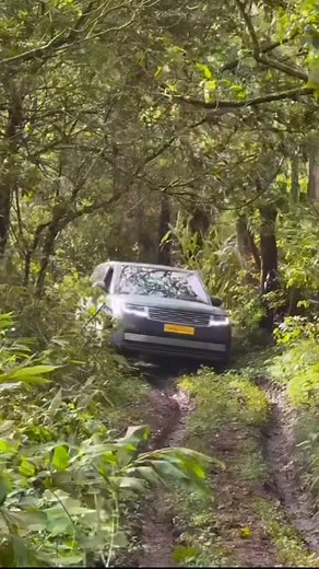 178K views · 3.9K reactions | Range Rover Masara 1 in 12  #rangeroverevoque #rangerovermasara #rangerover #landrover #landroverdefender110 #richest #shorts #instalike #insta #instadaily #youtuber #instamood #instagood #instagram #reels #reelsindiaofficial | Krishna Talkies S | Facebook