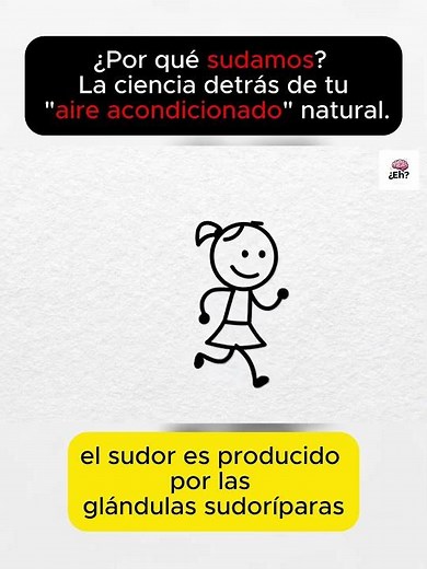 ¿Por qué sudamos? #cienciacuriosa #aprendizaje #ciencia
