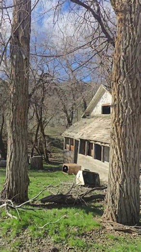 *Better Days Gone By, Original Baker County, Oregon, Homestead. We Are Monk Love