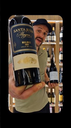 Where does Malbec come from? Malbec wine origin explained in 40 seconds