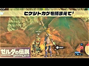【ヒケシトカゲを捕まえて！ : ミニチャレンジ 南採掘場】 攻略 ゼルダの伝説 ブレスオブザワイルド "Fireproof Lizard Roundup" BREATH OF THE WILD