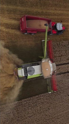 Harvester in operation