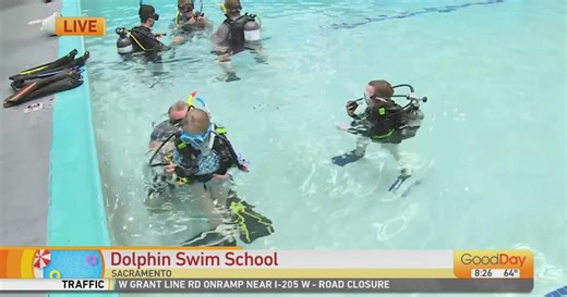Dolphin Swim School
