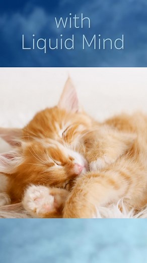 Sweet Dream zzzzzz - Snuggle Up and Relax with Liquid Mind Music | Liquid Mind