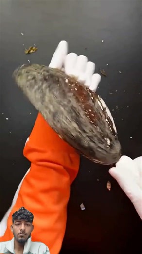 #funny #memes #respect #tutorial #facts #funnyimages #magic #science #ytshorts #respecta #trending