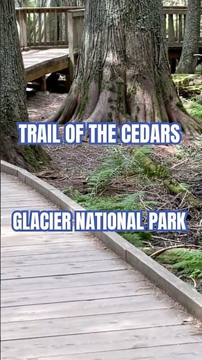 Trail of the Cedars - Glacier National Park
