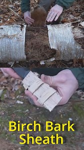 How to make a Sheath from Birch Bark! #survival #bushcraft #foraging #maine #birch | Son of a Bear Herbs
