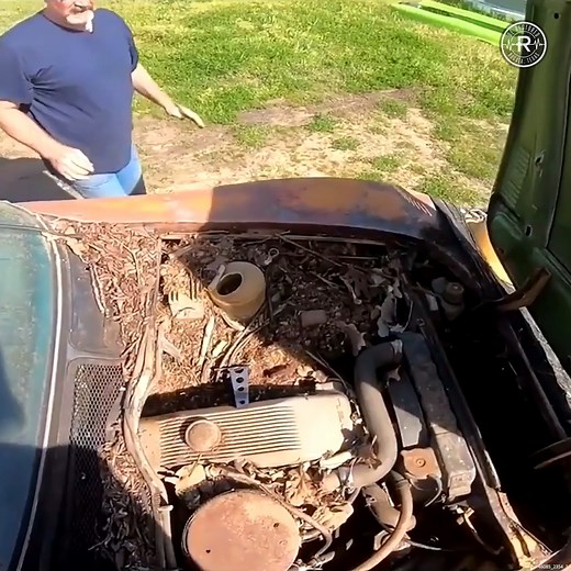 269K views · 7.4K reactions | The Truth Behind Restored... #satisfying #repair #restored #revival #cars | Restored | Facebook