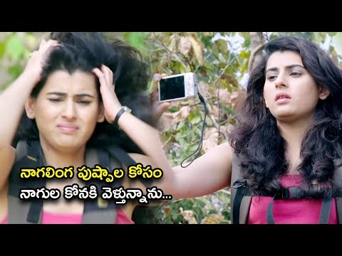 నాగలింగ పుష్పాల కోసం నాగుల కోనకి వెళ్తున్నాను | Panchami Telugu Full Movie Scenes | Archana
