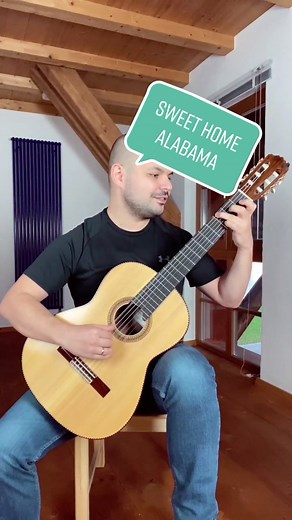 #gitarre #lynyrdskynyrd #sweethome #alabama #dimaomelchak #gitarrist #akkord #begleitung #rocklieder