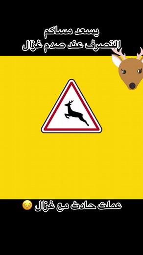 #tiktok #viral #foryou #mahmoud_al_fahel #führeschein #fahrschule #hamburg #notfall #erstehilfe