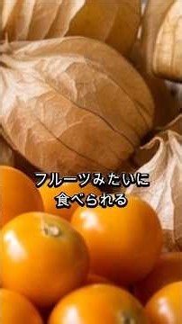 フルーツみたいに食べられるほおずき？｜ゴールデンベリーの養生Tips