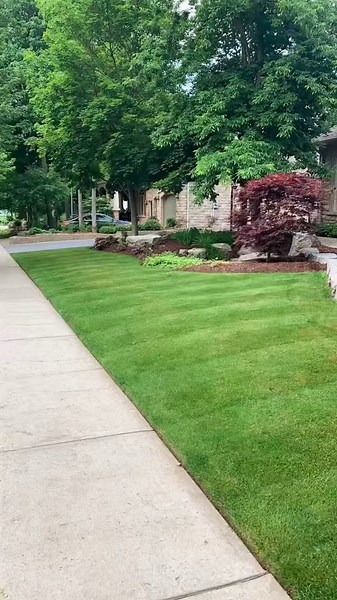 Beginner’s guide to lawn fertilizer and weed control