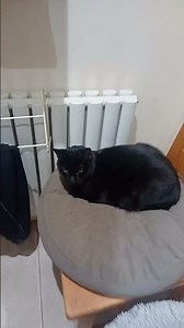 What a distinguished gentleman