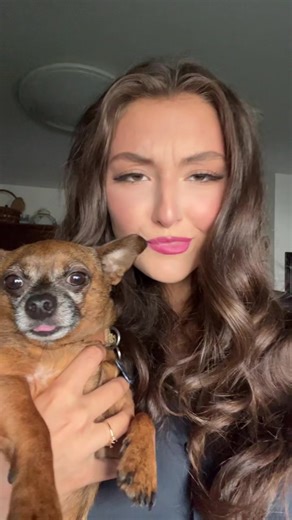 No? Its Boost😏 #chihuahua