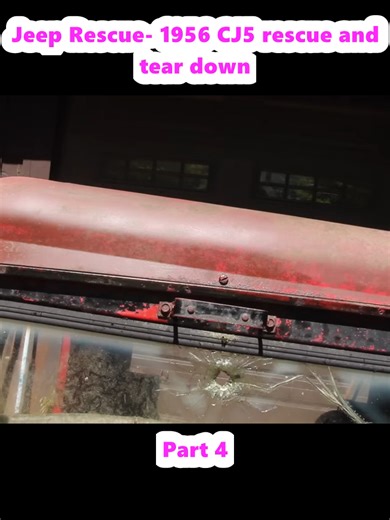 Jeep Rescue- 1956 CJ5 rescue and tear down (4)