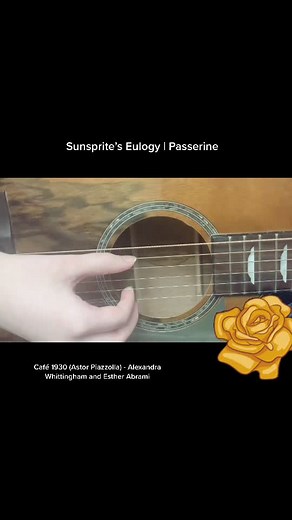 Passerine Animatic Guitar Cover | SAD-ist Song