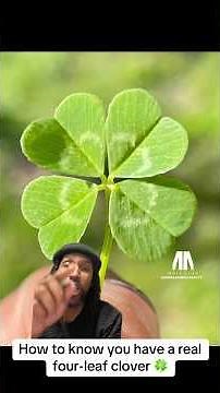 How to know if you have a real four-leaf clover. 🍀