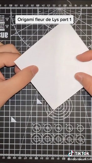 Origami fleur de Lys Partie 1 #origami #diy #papier #fleurdelys #onsamuse #art #faitmain