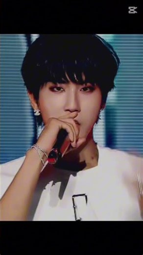 Han edit for all the quokka fans!#straykids