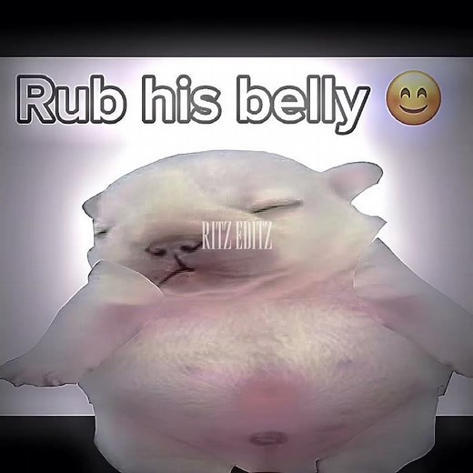 “I am Pibble.” Edit // Pibble edit