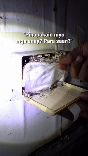 630K views · 4.3K reactions | Bakit natin pinapakain ang anay? Hindi lang ito basta pagkain—may lason sa loob. IGR ang tawag dito. Pinipigilan nila mag-molt ang anay para mamatay nang dahan-dahan. Sabi sa study ni Dr. Thomas Chouvenc, kahit <5% ng workers lang ang kumain, puwede nang mamatay ang buong colony. ⚠️ Coptotermes gestroi 'yan, anay na tahimik pero gigil manira. #Anay #termitecontrol #molting #trophallaxis | ENTOM Pest Control | Facebook
