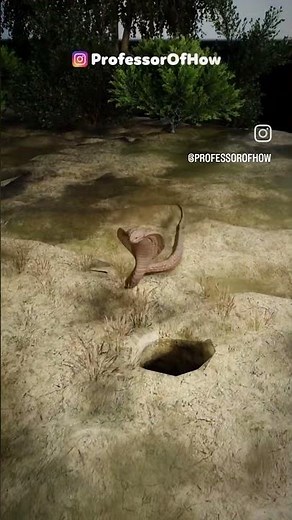 🐍 Snake Swallows Itself | 3D Animation | Mind-Blowing Nature Scene