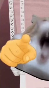 Can someone explain to me why dad never close the door when they leave #TELLME #HELP #funny