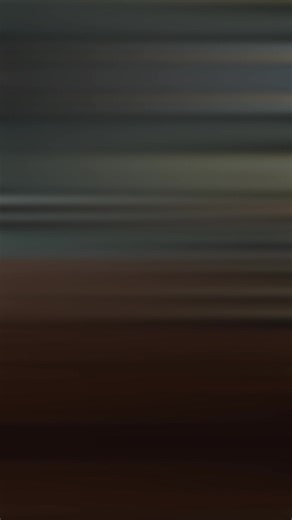 Bulb Changer Telescopic Pole