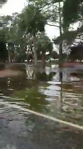 13K views · 177 reactions | So the tide is a little high this morning.  | Fripp Island Golf & Beach Resort | Facebook