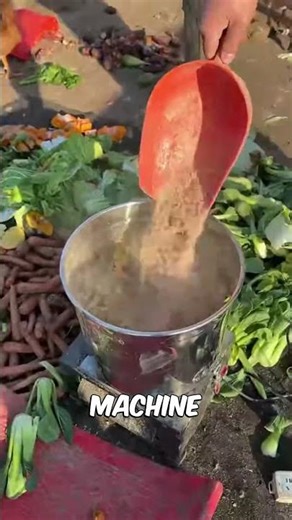 This Vegetable Chopper Makes Chickens and Ducks Happy#shorts