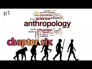 anthro chaptet 6
