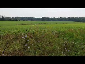 Long Running Relaxing Nature Videos. 12 Hours of All Seasons
