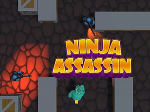 Ninja Assassin 🕹️ Play game online on Sgames