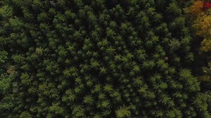 9K views · 287 reactions | Visit the Houseline in Oakfield, ME and see how a Katahdin Cedar Log Home is milled. | Katahdin Cedar Log Homes | Facebook