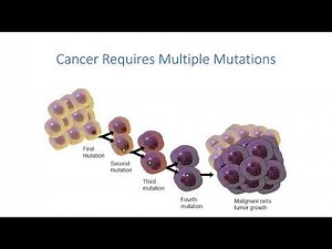 Cancer and the cell cycle