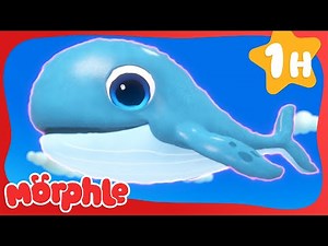 The Whale | My Magic Pet Morphle | Full Episodes | Cartoons for Kids
